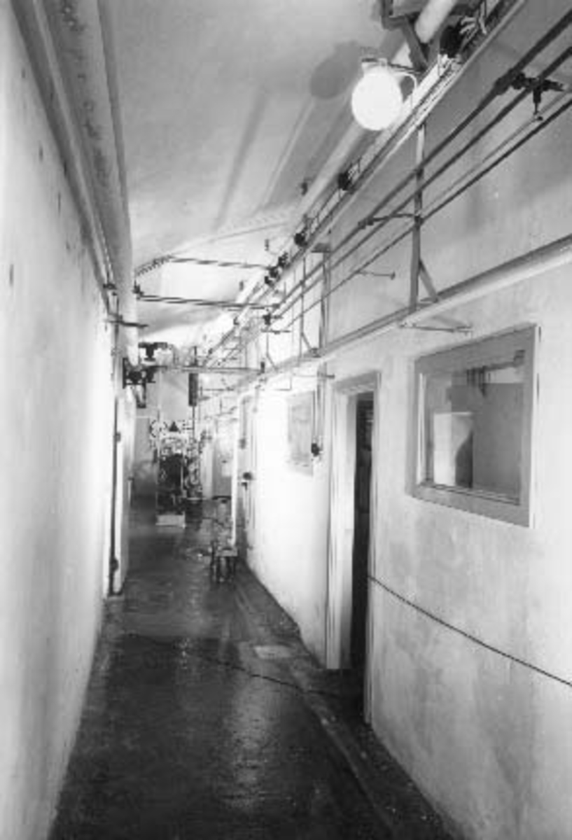 Hamar, Storhamargata 61, Hamar Bryggeri, ølbrygging, Kjellergang.