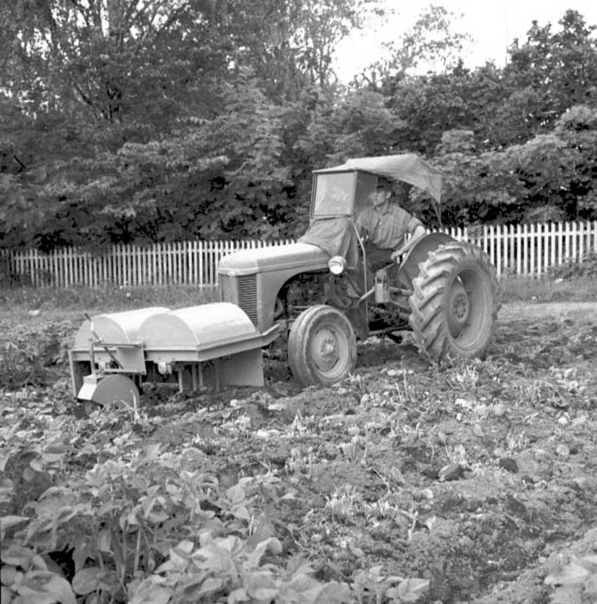 Hamar, Ankerløkkens Mekaniske Verksted, Traktor Massey Ferguson. frontmontert potetrisknuser og med montert potetopptager bak, patentert og eksportert til alle skandinaviske land,