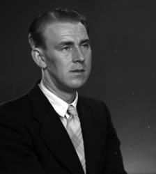 Ringsaker, portrett forfatter Alf Prøysen,