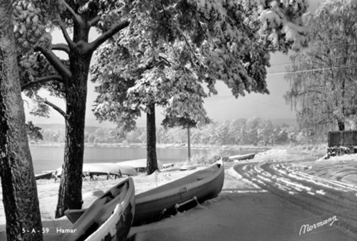 Postkort, Hamar, Sterudodden, Høiensalodden, robåter, vinter, snø, Koigen, 

