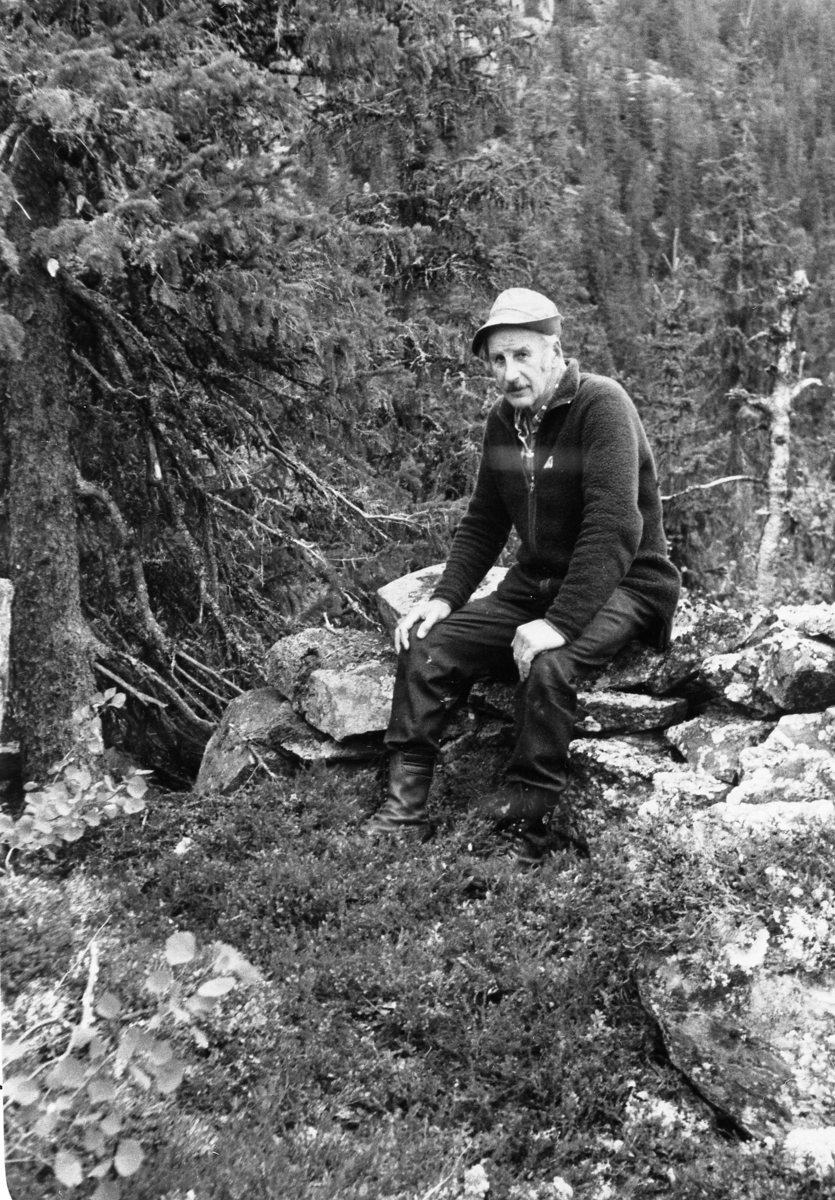 Bjønnstille