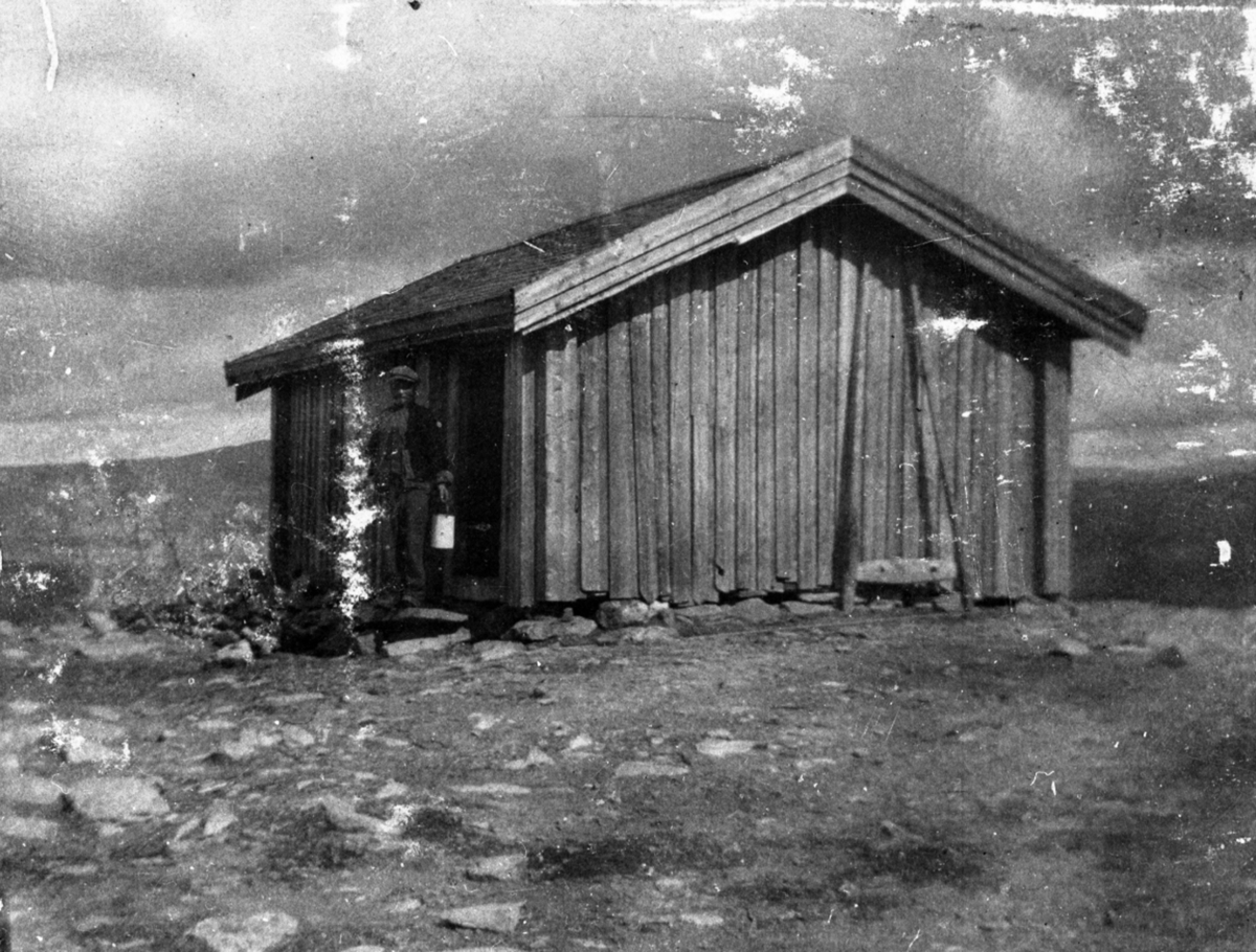 Hestgjeterbua