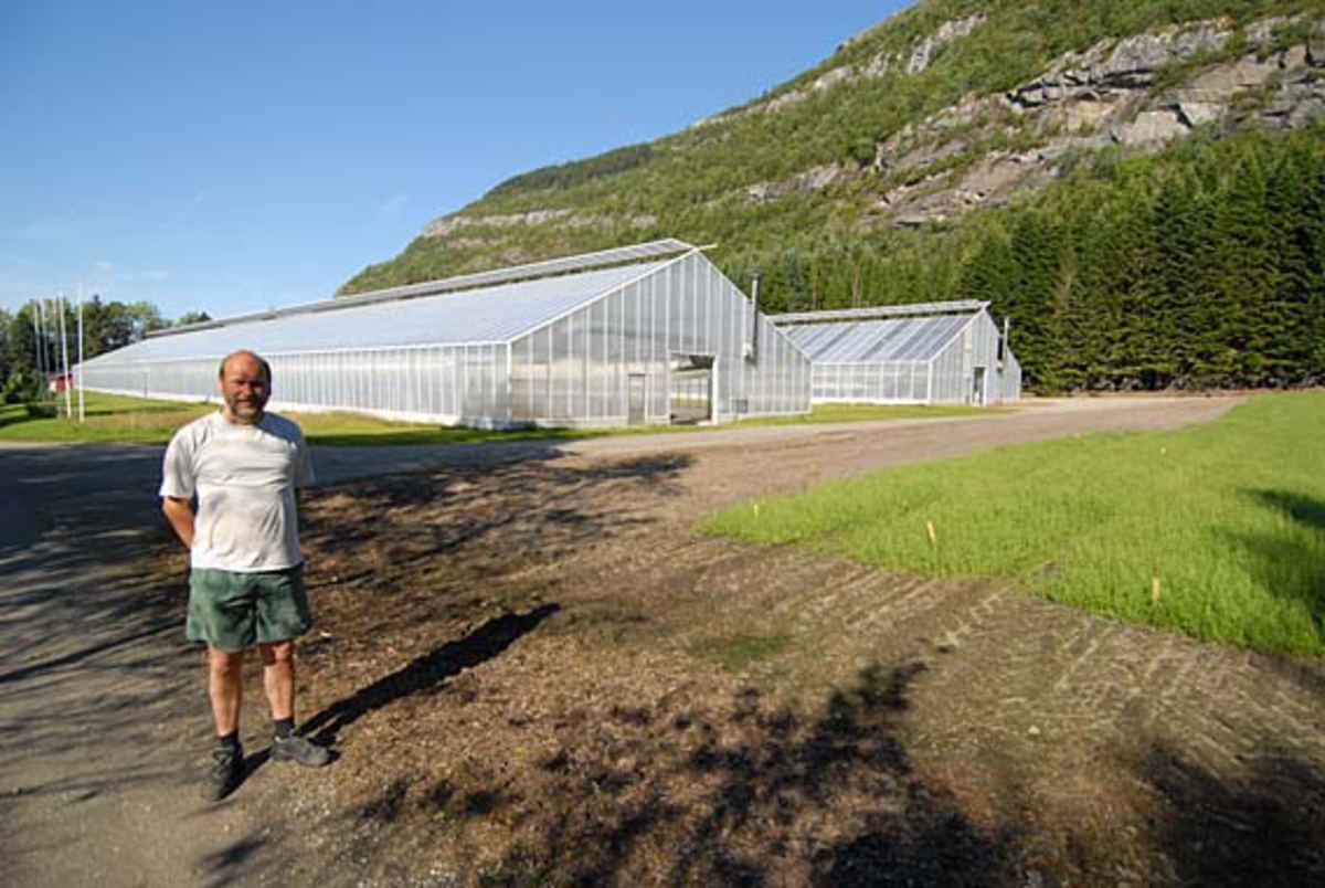 Planteskolebestyrer Tore Frisli Hov foran Alstahaug planteskole på Helgeland.  Planteskolebestyreren er iført kortbukser og kvit T-skjorte.  Han står med armene på ryggen i vegkanten foran innkjøringa til planteskolens veksthus.  Det ene av dem var bygd før skogteknikeren Tore Frisli Hov ble ansatt som planteskolebestyrer i 1986, det andre kort tid etterpå.  Veksthusene avløste plastveksthus, som kom med innføringa av pluggplanteproduksjon midt i 1970-åra.  Fotografiet er tatt i lav sol med lange skygger i forgrunnen, dels også over hodet på planteskolebestyreren. 