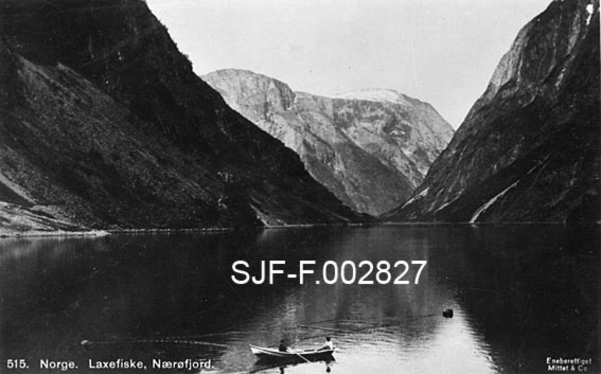 Laksefiske i Nærøyfjorden i Sogn.  Fotografiet viser to personer i en robåt med en bakenforliggende fiskeinnretning som er oppspent mellom to flytelegemer på den speilblanke vannflata.  Dette er antakelig ei kilenot, en redskapstype som ble mye brukt i laksefisket her tidlig på 1900-tallet. I 1896 ble det registrert 747 kilenøter i Nordre Bergenhus Amt (Sogn og Fjordane fylke), hvorav 306 i Sogn.  Topografen Amund Helland som kunne vise til statistikk som tydet på at det gjennomsnittlig ble tatt 125 kilo laks i hver not, men la ikke skjul på at dette tallet, på grunn av underrapportering, antakelig var altfor lavt.  Bak båten og fiskeinnretningen på fotografiet ser vi den smale Nærøyfjorden, omgitt av bratte fjellsider, innover mot Gudvangen.  Lenge etter at dette fotografiet ble tatt, i 2005, ble fikk denne fjordarmen og Geirangerfjorden lengre nord på Vestlandet status som "verdsarvparker" på UNESCOs World Heritage List.  

