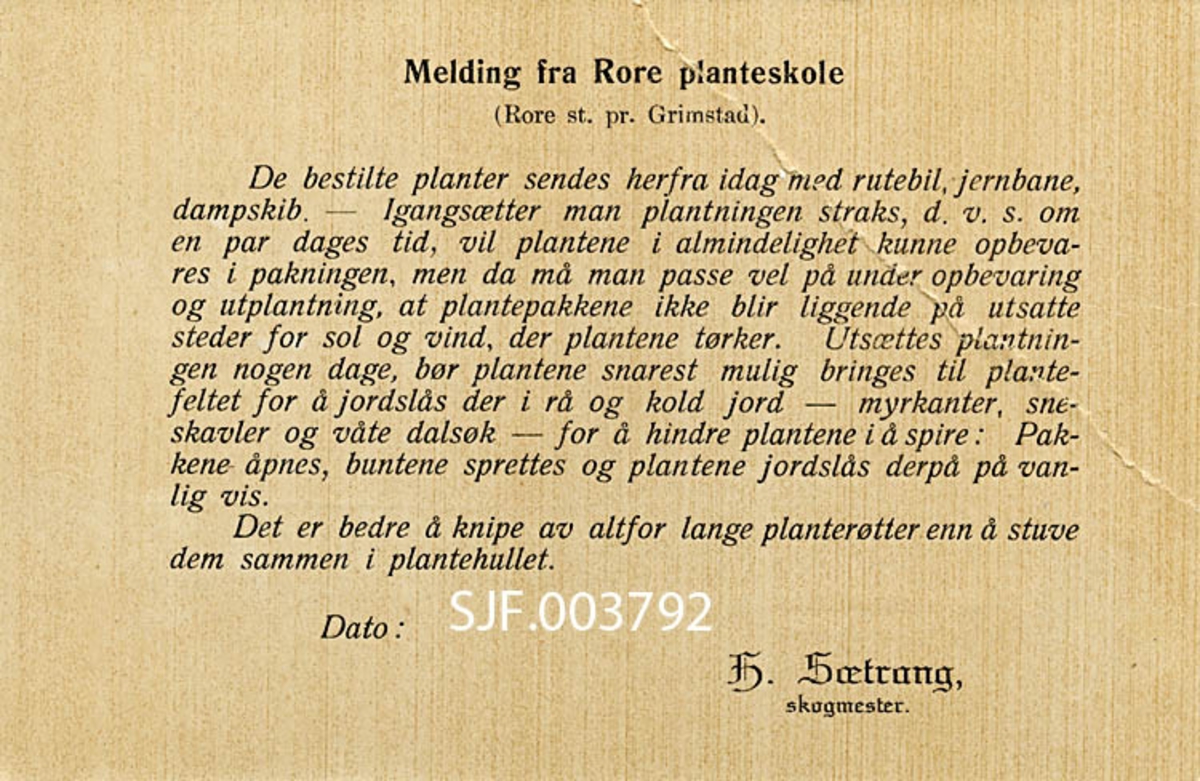 Såkalt tjenestebrevkort i formatet 9, 5 X 14, 4 centimeter, trykt på tynn, gulkvit kartong.  Den ene sida har en påtrykt heading, ”TJENESTEBREVKORT”.  Under er det et uutfylt adressefelt, og en returadressat, ”Skogmester Sætrang, Tvedestrand”.  På motsatt side av kortet finner vi følgende trykte tekst:
”Melding fra Rore planteskole  (Rore st. pr. Grimstad). 
De bestilte planter sendes herfra i dag, med jernbane, skib, rutebil, jernbane, dampskib. - Igangsetter man plantningen straks, d. v. s. om et par dagers tid, vil plantene i almindelighet kunne opbevares i pakningen, men da må man passe vel på under opbevaring og utplantning, at plantepakkene ikke bare blir liggende på utsatte steder for sol og vind, der plantene tørker.  Utsettes plantningen nogen dage, bør plantene snarest mulig bringes til plantefeltet for å jordslås der i rå og kold jord – myrkanter, sneskavler og våte dalsøkk – for å hindre plantene i å spire: Pakkene åpnes, buntene sprettes og plantene jordslås derpå på vanlig vis. 
Det er bedre å knipe av altfor lange planterøtter enn å stuve dem sammen i plantehullet. 
Dato:
H. SÆTRANG skogmester. ”
