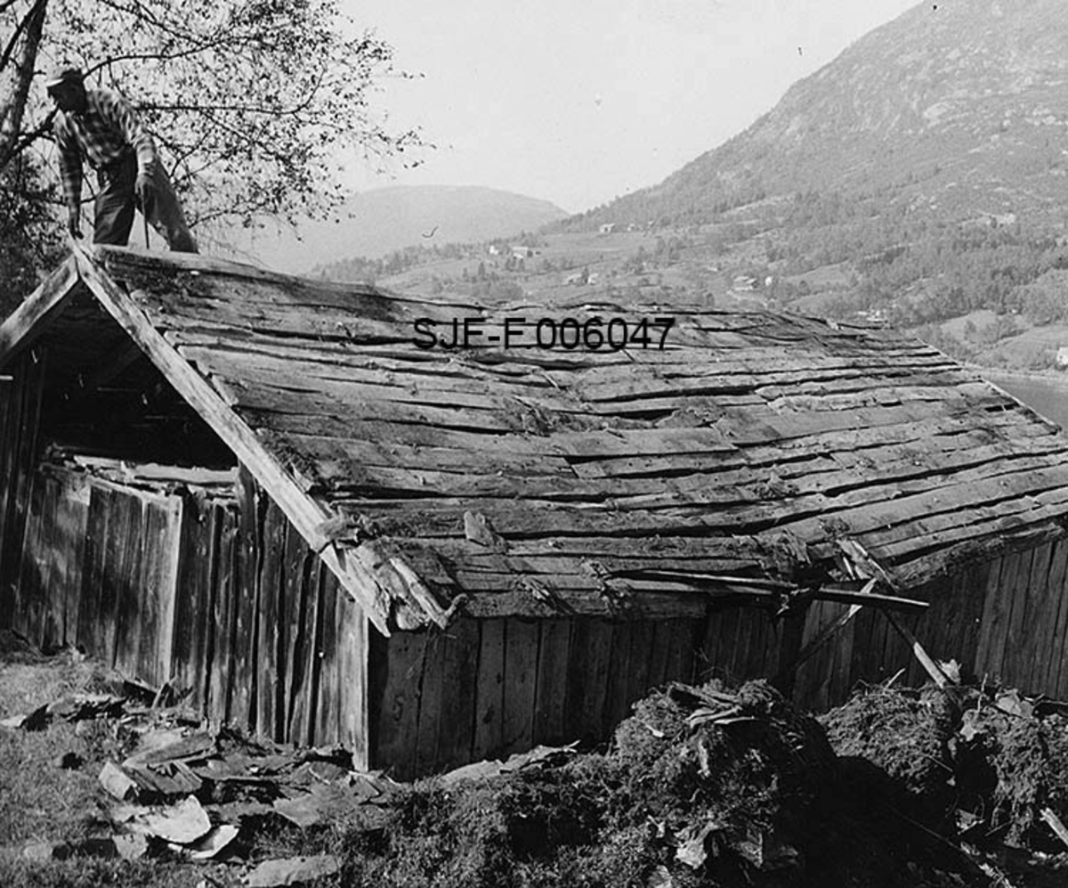 Naustet til Nikolai J. Gjesdal (1889-1973) ved Vassenden i Jølster i Sunnfjord i Sogn og Fjordane.  Fotografiet er tatt mot den øvre (bakre) delen av naustet. Naustet er en umalt, bordkledd stavkonstruksjon med saltak.  På gavlveggen er panelet bare ført opp til beiten.  Himlinga er åpen.  Da fotografiet ble tatt hadde to karer fra Norsk Skogbruksmuseum i Elverum spadd ned torvtekket fra taket.  Torva og neverflakene som hadde fungert som fuktsperre lå på bakken ved husets langvegger.  Taktroa bærer preg av at det har vært visse lekkasjer, og midt på den nedre delen av taket var bordene rett og slett ødelagt av råte.  Da fotografiet ble tatt sto en arbeidskar (Karinus Loftet) med dongeribukse, rutete flanellskjorte og skyggelue oppunder mønet på den øvre delen av bygningen.  Nedspainga av torvtaket var første fase i et demonteringsarbeid som ble gjort med sikte på at bygningen skulle flyttes til Norsk Skogbruksmuseums friluftsamling på Prestøya i Elverum.  Dette flytteprosjektet ble realisert i 1968. 

Jølsternaustet er 790 centimeter langt og 456 centimeter bredt og har følgelig ei grunnflate på 36 kvadratmeter.  På gavlen mot vassdraget er rafthøyden 217 og mønehøyden 365 centimeter.  På den bakre eller vestre gavlen er rafthøyden 125 og mønehøyden 258 centimeter. 