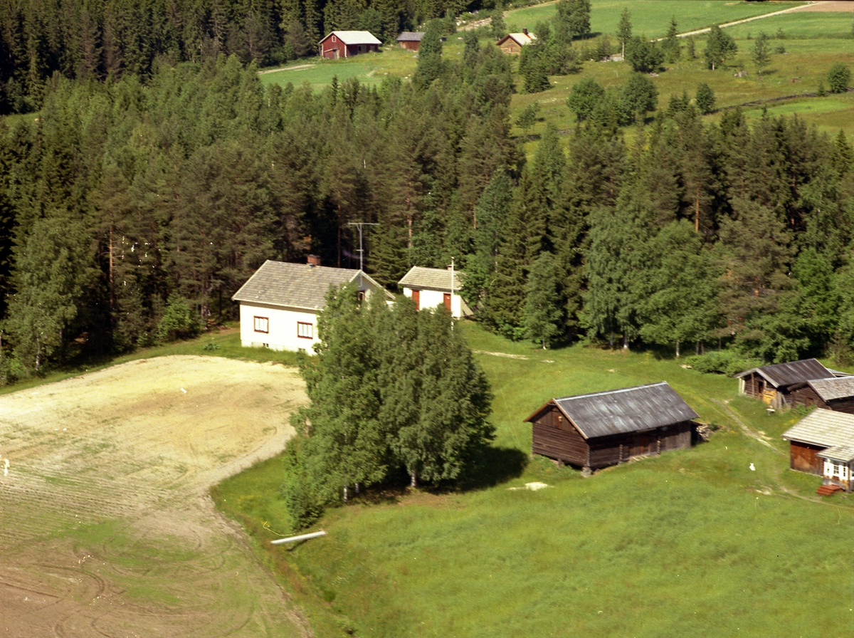 Oppsetmoen