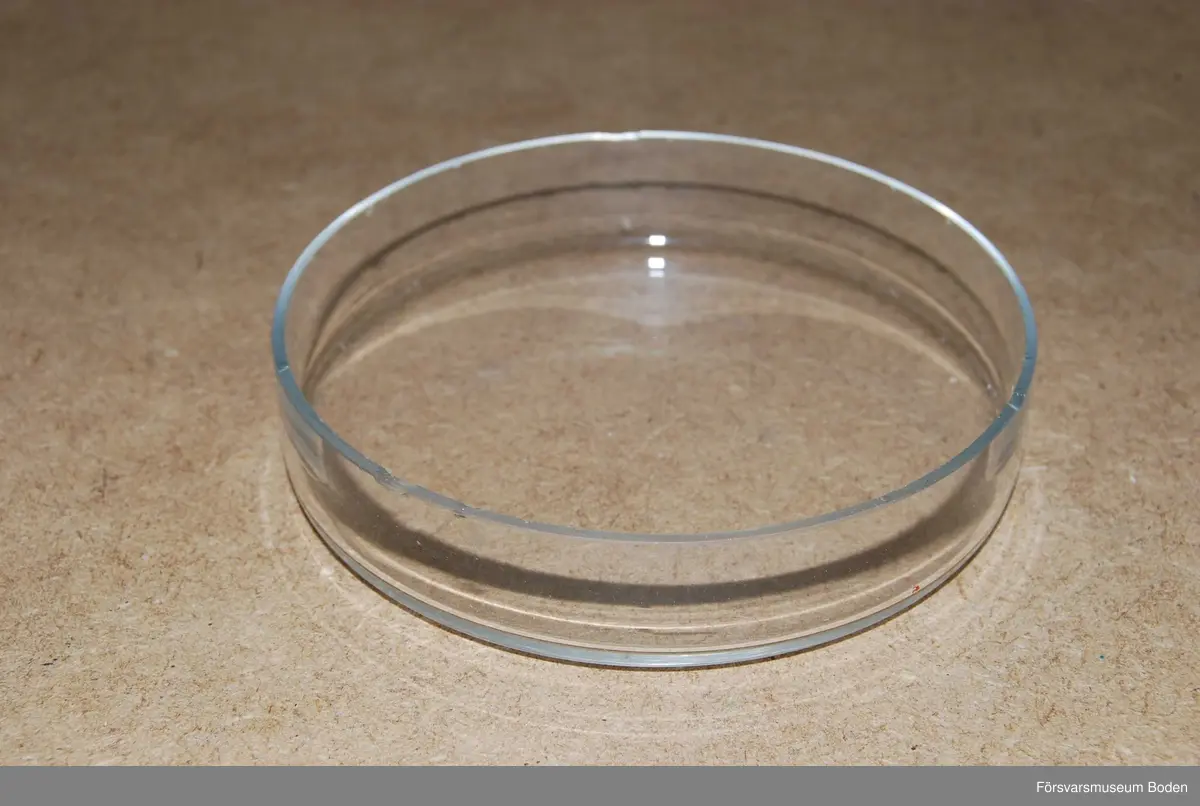Cylindrisk glasskål för laboratoriebruk.