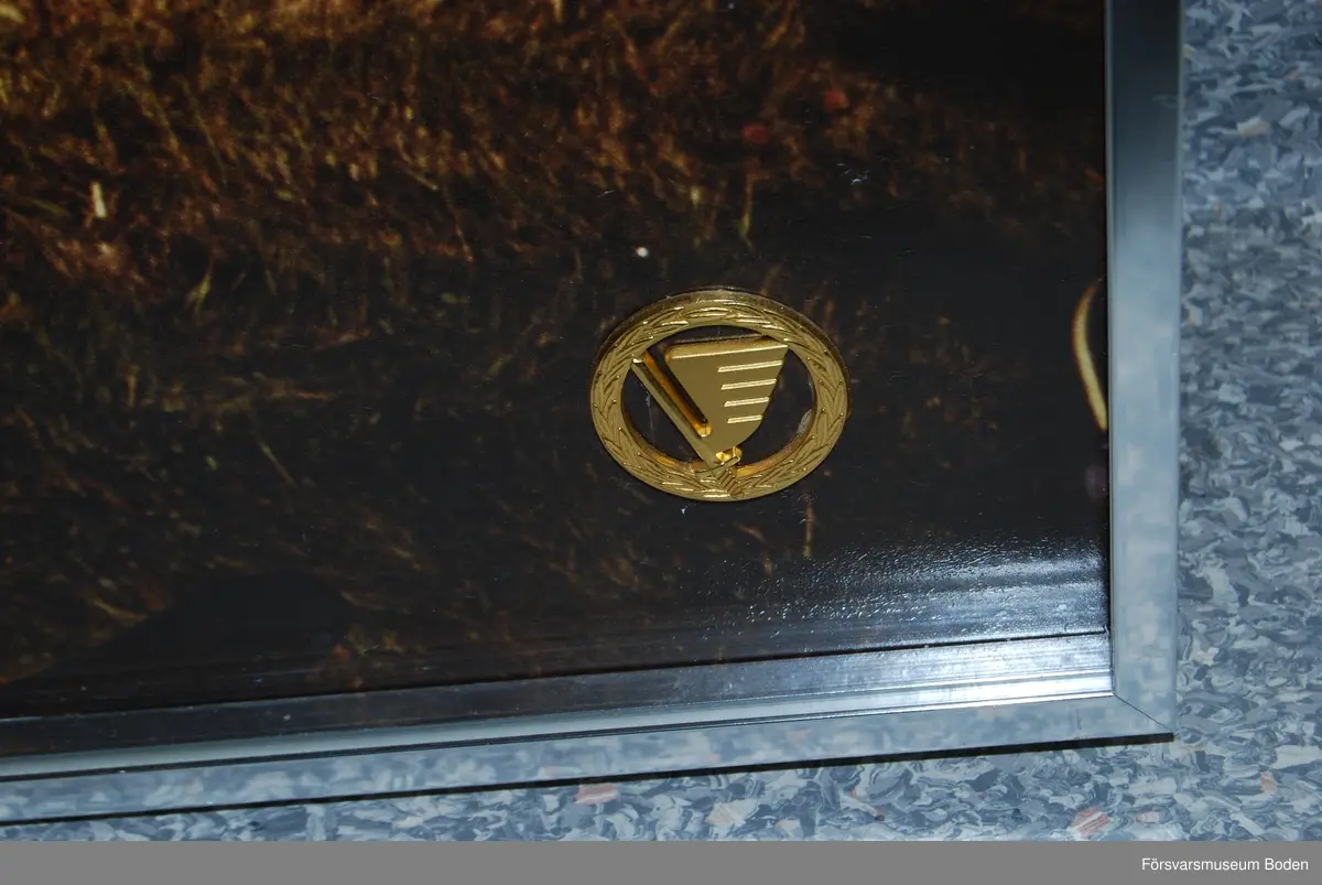 Fotografi med aluminiumram 100,5 x 71 cm. Wire för upphängning på baksidan. Arméflygets truppslagstecken (mössmärke) m/1982 fäst i nedre högra hörnet.