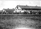 Korpralskolan 1905, skämttävling till häst framför livskvadronens stall.