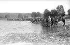 Vattning i Örlen, Fagersanna under sommarmarschen 1931.