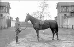 Livhusar (hästskötare) med officers tjänstehäst mellan två av skvadronstallarna. Observera officersbladsadel m/1899 med blå vojlock.