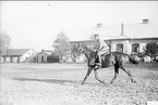 Livhusar (hästskötare) på officers tjänstehäst utanför ridhuset.