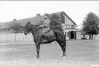 Livhusar i uniform m/1910 och mössa m/ä med tilldelad stamhäst på kaserngården söder om skvadronstallarna