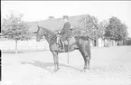 Livhusar i uniform m/1895 (m/ä) med tilldelad stamhäst på kaserngården söder om skvadronstallarna