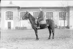 Livhusar i uniform m/1895 med tilldelad stamhäst utanför ridhuset.