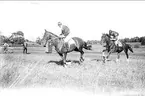 Regementskapplöpningarna 1933 på fältet söder K 3 kasern. Galopp ner till start. Finaste löpningen för de riktiga kapplöpningshästarna. Kapplöpningsdress på ryttarna och kapplöpningsutrustning på hästarna.