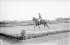 Dressyruppvisning på sandbanan öster om K 3 kasern vid SFK:s tävlingar 1929.