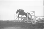 Terränghoppning/banhoppning, kavalleriofficersaspirantskolan 1934-35.