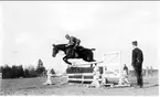 Ryttmästaren vid K 3 Henrik Lagrkrantz tävlar i prishoppning på södra fältet 1933.