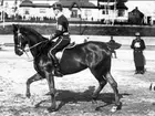 Dressyrtävling (troligen Nordiska Ryttarspelen) i idrottsparken på Östermalm i Stockholm. Stockholms ridhus i bakgrunden, nu ligger stadion här.