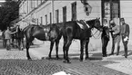 Carl Herman Wilhelm Leuhusen på slutövning i Uppsala 1901.