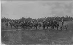 Livhusarsofficerare till häst på uppställningsplatsen öster om lägret, Sanna hed 1894.