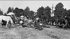 K 3 sommarmarsch till Sanna hed 1947. 2 skvadronens hästbivack i Sannahedslägret.