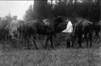 Nedanstående kavalleriofficerare avlade officersexamen på Karlberg 1923 och gick därefter ridskolan på Strömsholm 1924-25. Carl-Axel Stackelberg K 1, Sven Littorin K 3, Nils Frost K 4, Sven Axel Torén K 5, Carl Otto Smith K 6, Erik Wikland K 6. Efter avslutad jakt.