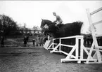 1. årseleverna på Strömsholmskursen på tävlingsresa till Stockholms fältrittklubbs tävlingar på Gärdet i Stockholm. Strömsholm 1910-11.