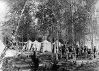 Sommarmarsch till Tibro, förläggning för Ing 2 (bivack) 1893.