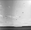 Uppvisningar från Fallskärmsjägarskolans dag år 1964 på Flugebyn, Karlsborg.