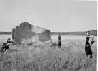 Fallskärmsjägarskolan Karlsborg i slutet av 1950-tal.Landning.