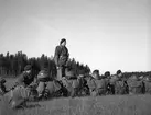 Fallskärmsjägarskolan i Karlsborg 1952.Återsamling efter fallskärmshopp.