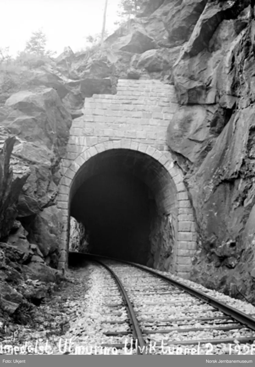Ulvik tunnel : utmuring