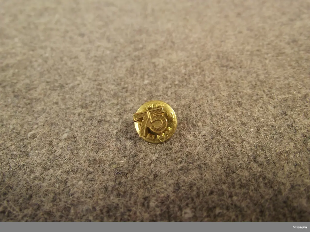 Diverse soldatprovsmärken tagna av Petter Möller, Jönköping.
5 st soldatprovsmärken, samt 1st jubileumsmärke till Nijmegenmedaljen.
- Soldatprov I 12/Fo 17 88/89
- Soldatprov I 12/Fo 17 89/90 
- Soldatprov I 11/Fo 16-18 90/91
- Soldatprov I 12/Fo 17 90/91  
- Soldatprov I 12/Fo 17 91/92
- Nijmegenmarschen 75 år.