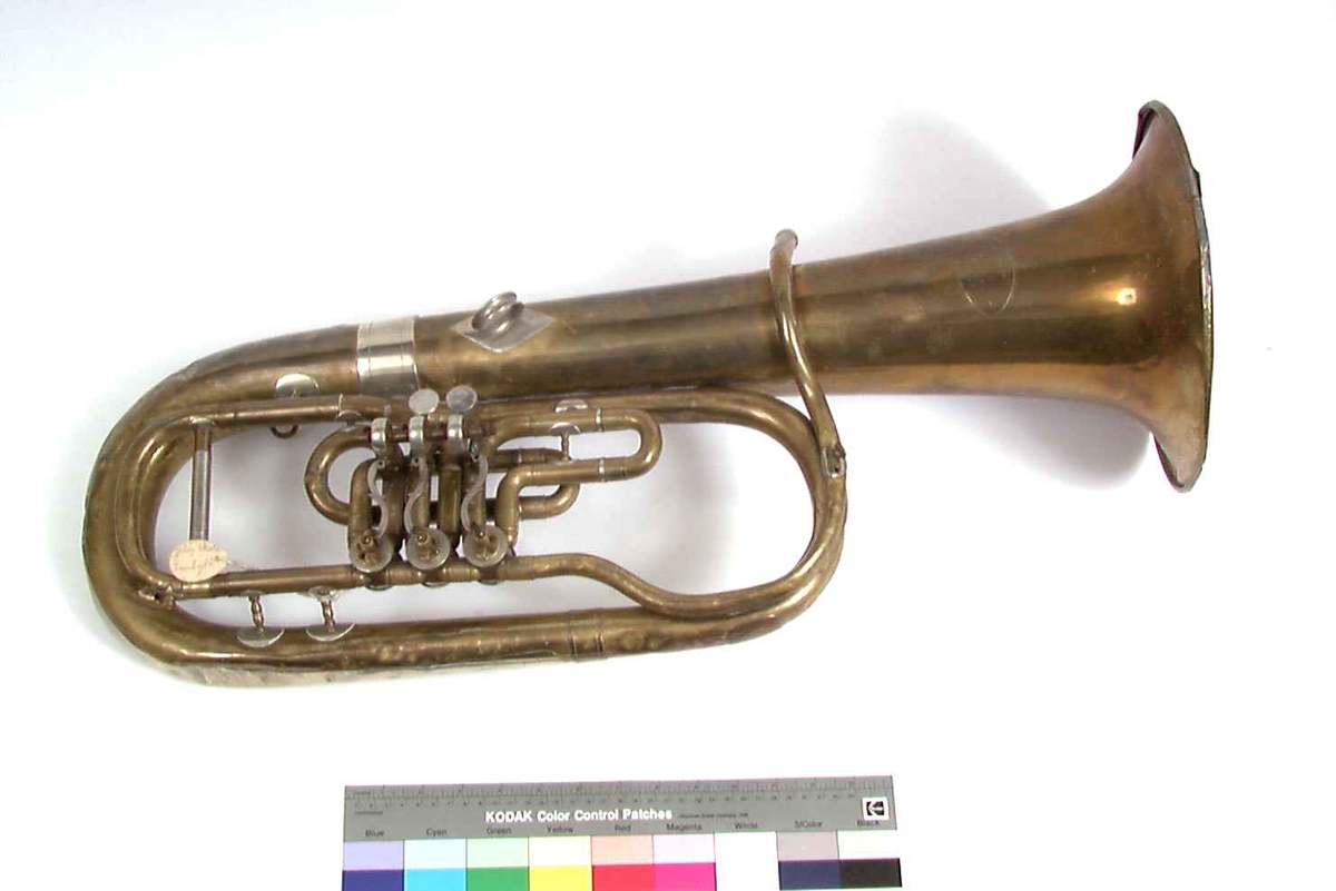 Tenorhorn