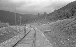 Nordlandsbaneanlegget : linjeparti ved km 554,9 like nord fo