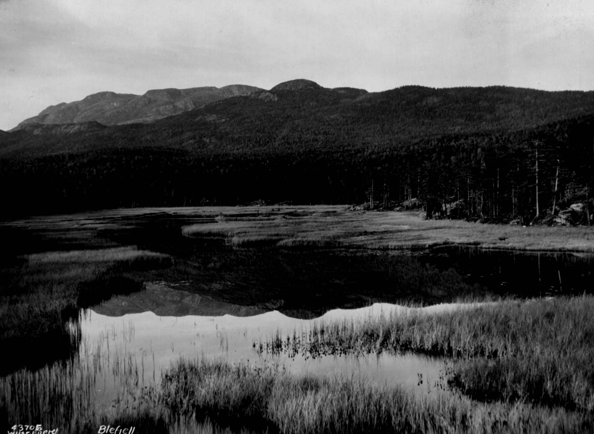 Landskap med vann og fjell på Blefjell.