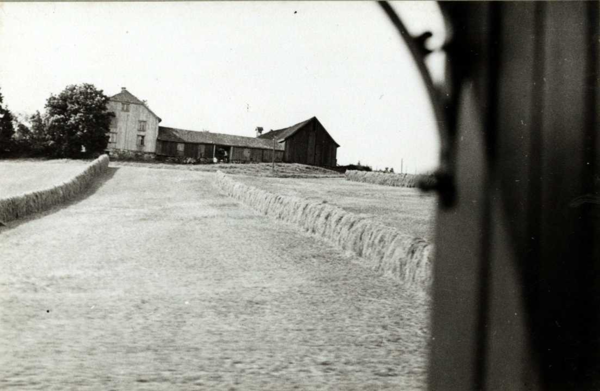 Krom, Vestby, Akershus. Gårdsanlegg sett mellom høyhesjer på et jorde.