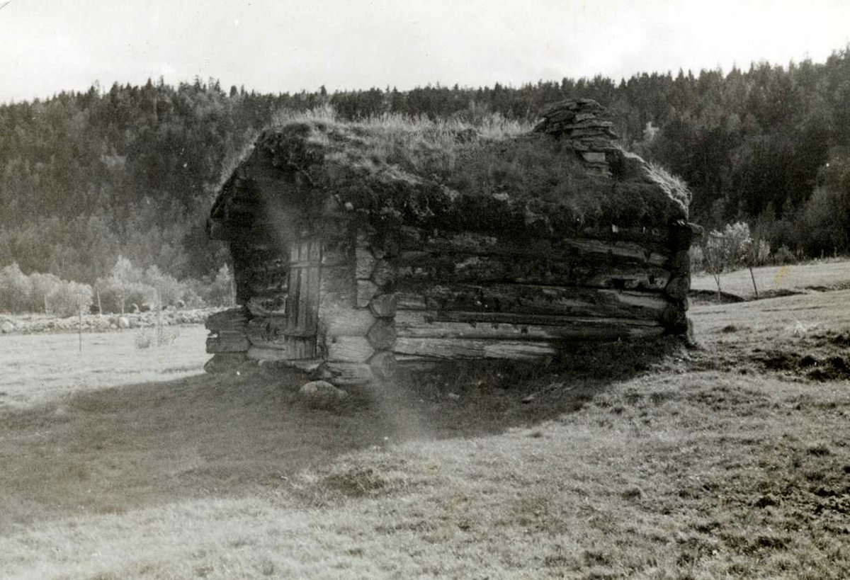 Setningsjøen, Sollia, Stor-Elvdal, Hedmark. Fiskebu.