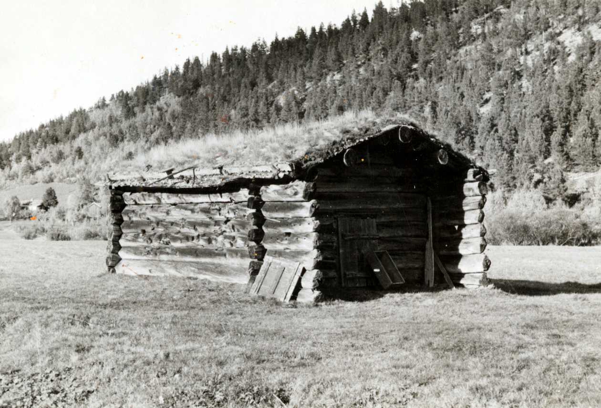Setningsjøen, Sollia, Stor-Elvdal, Hedmark. Fiskebu.