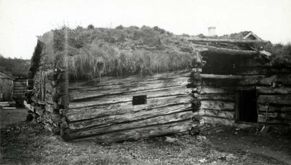 Engan, Os, Nord Østerdal, Hedmark 1941. Lita løe i tømmer med torv på taket. Nå på Norsk Folkemuseum.