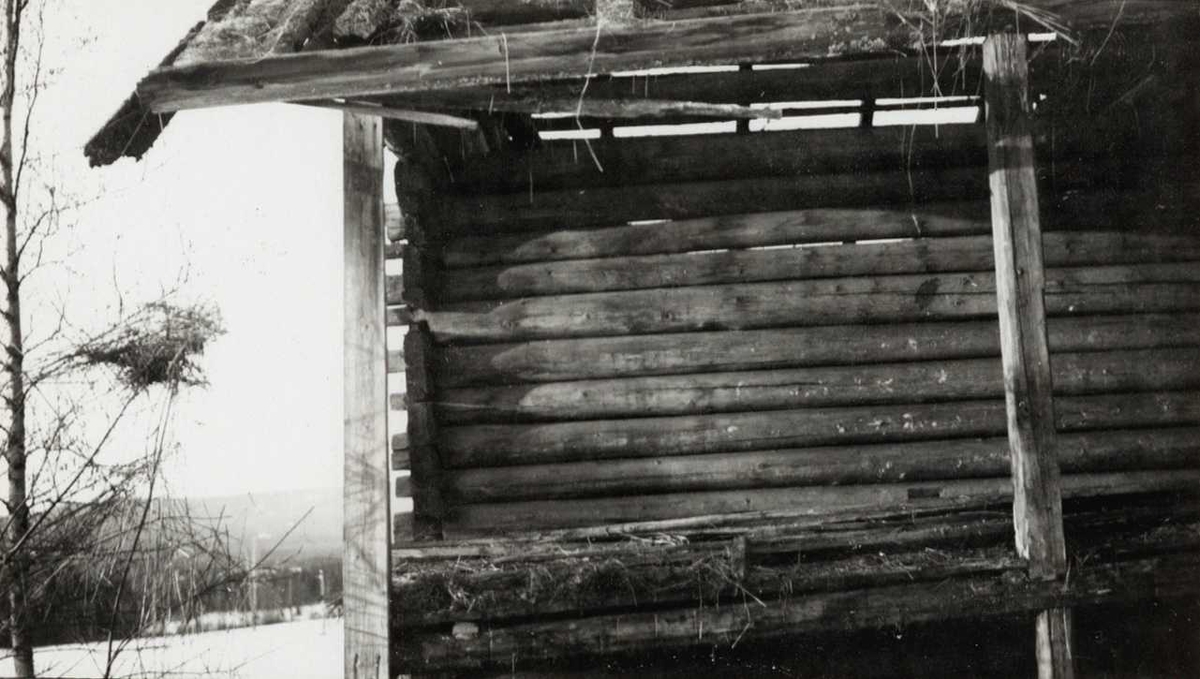 Kvislerbråten, Sør-Odal, Hedmark 1942. Detalj av låve under riving. Nå på Norsk Folkemuseum.