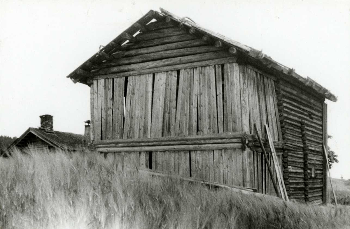 Ria, Grue, Hedmark 1943. Baksiden av løe, sett fra kornåker.