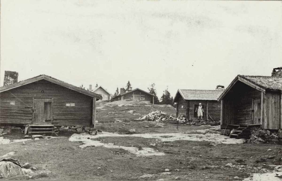 Nyseter, Feiring, Eidsvoll, Akershus. Seterhusene sett fra nedsiden ...