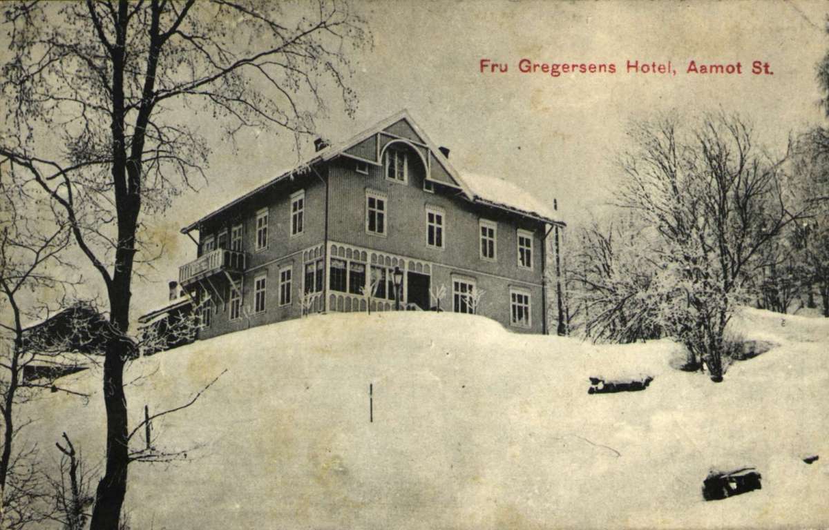 Postkort, Jule- og nyttårshilsen. Fotografisk motiv. Svart/hvitt. Vintermotiv. Fru Gregersens Hotell, Aamot stasjon. Snødekte trær. Stemplet 24.12.1909.