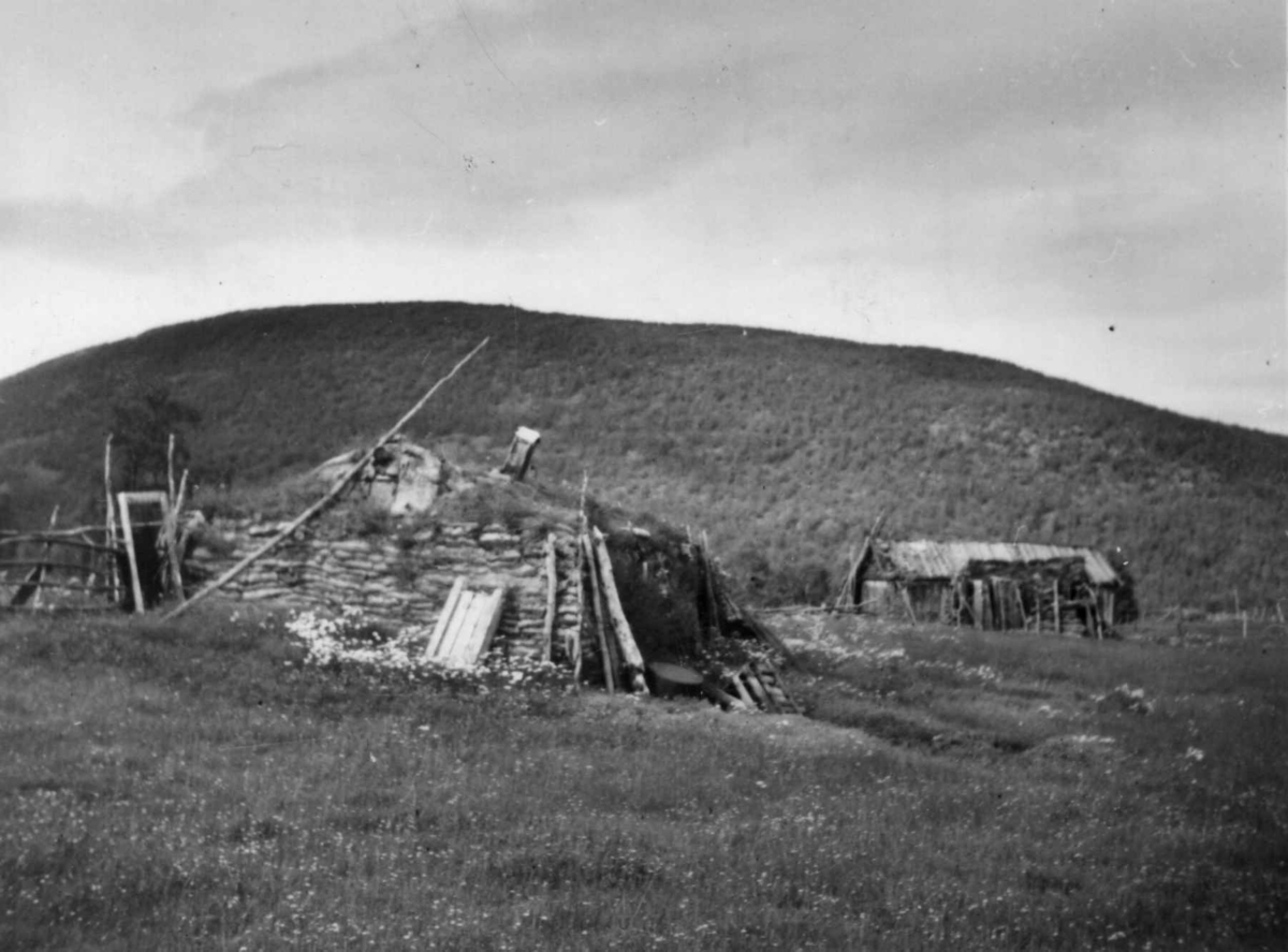 Fjøsgamme, sauefjøs og høyløe, Levajokgiedde 1952.