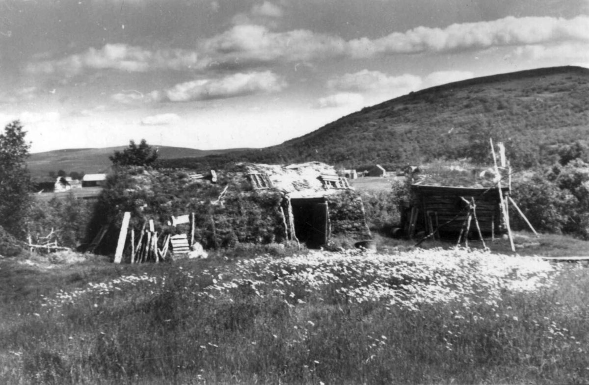 Aslak Hanssens stabbur og fjøsgamme i Sirma, 1952.