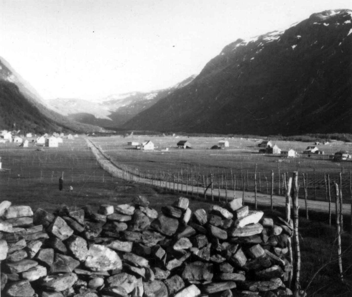 Oversiktsbilde over Kåfjorddalen med bebyggelse, 1948.